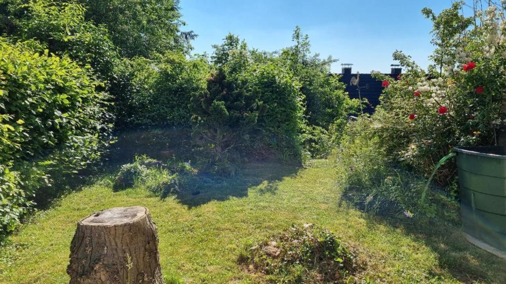 Appartement Zum Entspannen Wartenberg  Eksteriør bilde